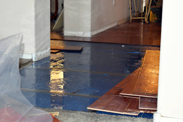 Professional Water Damage Restoration technician working in Hometown, WV